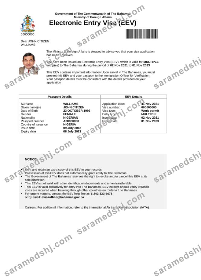 Bahamas e-visa in Word and PDF template